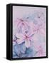 Lilies, Pink Auratum-Karen Armitage-Framed Stretched Canvas