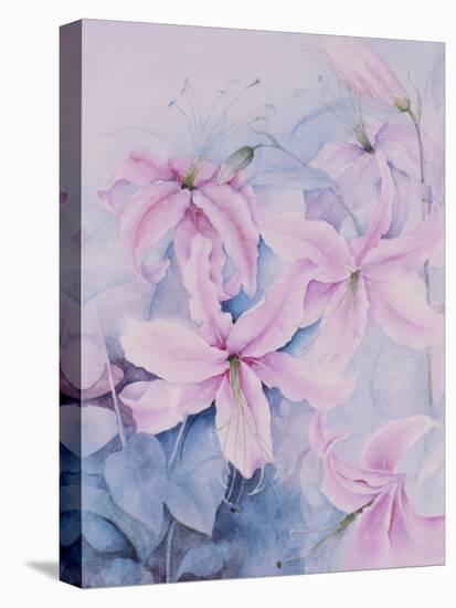 Lilies, Pink Auratum-Karen Armitage-Stretched Canvas