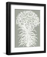 Lilies (Sage & Ivory)-Botanical Series-Framed Art Print