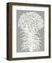 Lilies (Sage & Ivory)-Botanical Series-Framed Art Print