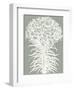 Lilies (Sage & Ivory)-Botanical Series-Framed Art Print