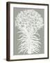 Lilies (Sage & Ivory)-Botanical Series-Framed Art Print