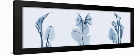 Lilies Triple in Blue-Albert Koetsier-Framed Art Print