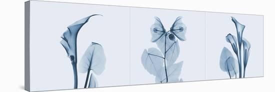 Lilies Triple in Blue-Albert Koetsier-Stretched Canvas