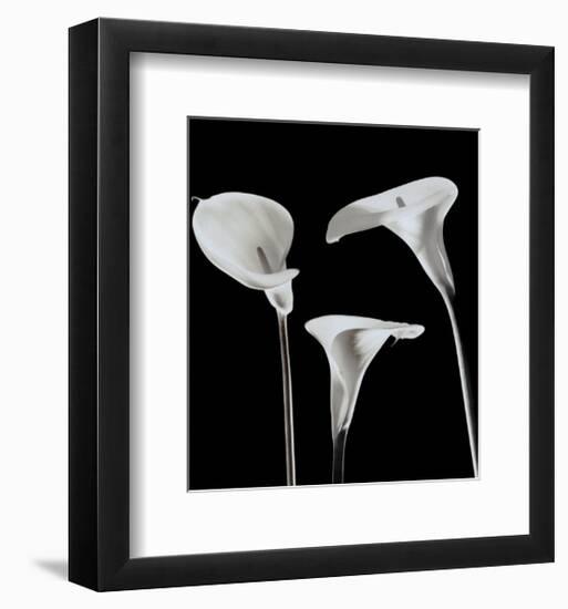 Lilies-Rudy Archer-Framed Art Print
