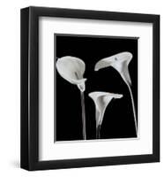 Lilies-Rudy Archer-Framed Art Print