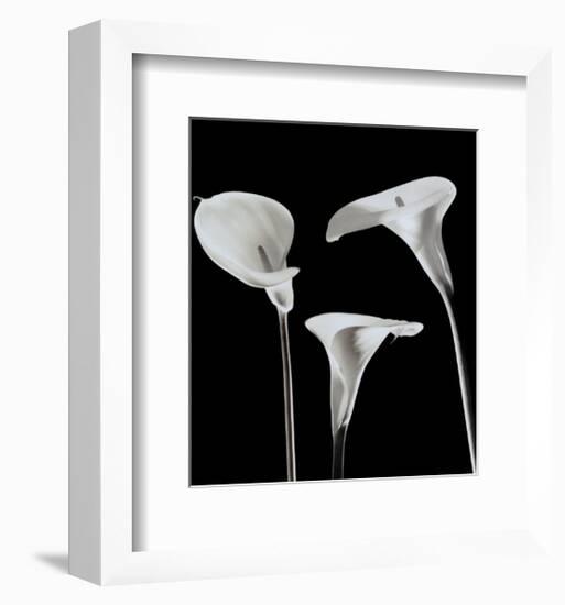 Lilies-Rudy Archer-Framed Art Print