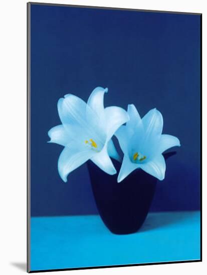 Lilies-Masao Ota-Mounted Art Print