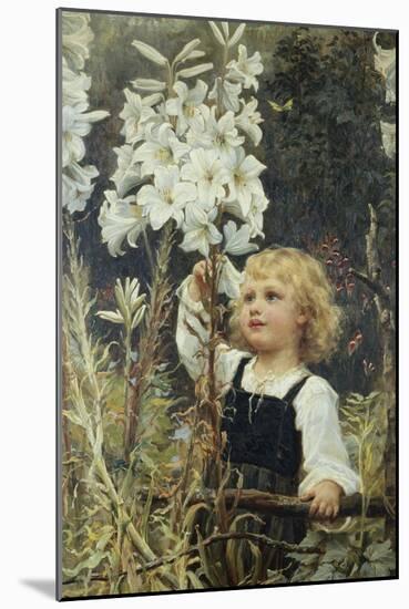 Lilies-Frederick Morgan-Mounted Giclee Print