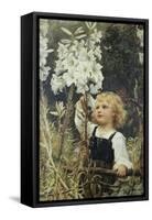 Lilies-Frederick Morgan-Framed Stretched Canvas