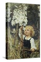 Lilies-Frederick Morgan-Stretched Canvas