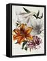 Lilies-null-Framed Stretched Canvas