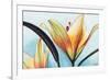 Lilies-Jennifer Redstreake Geary-Framed Premium Giclee Print
