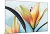 Lilies-Jennifer Redstreake Geary-Mounted Premium Giclee Print