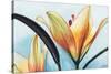 Lilies-Jennifer Redstreake Geary-Stretched Canvas