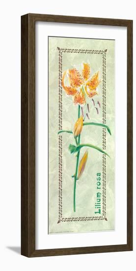 Lilium Rosa Woodwork-L^ Tyndall-Framed Art Print