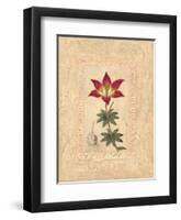 Lilium-Javier Fuentes-Framed Art Print