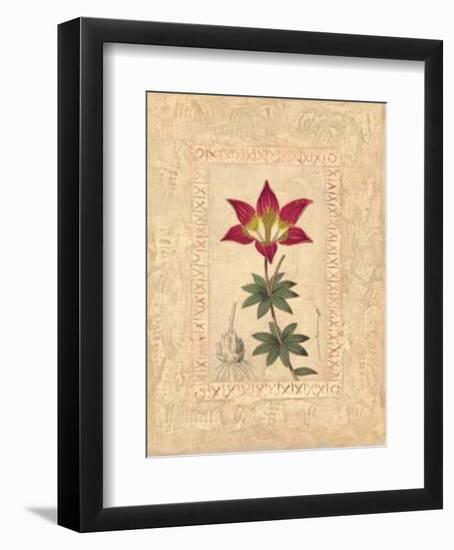 Lilium-Javier Fuentes-Framed Art Print