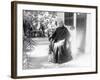 Liliuokalani, Queen of Hawaii, c.1917-null-Framed Photographic Print