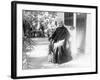 Liliuokalani, Queen of Hawaii, c.1917-null-Framed Photographic Print