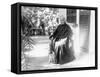 Liliuokalani, Queen of Hawaii, c.1917-null-Framed Stretched Canvas