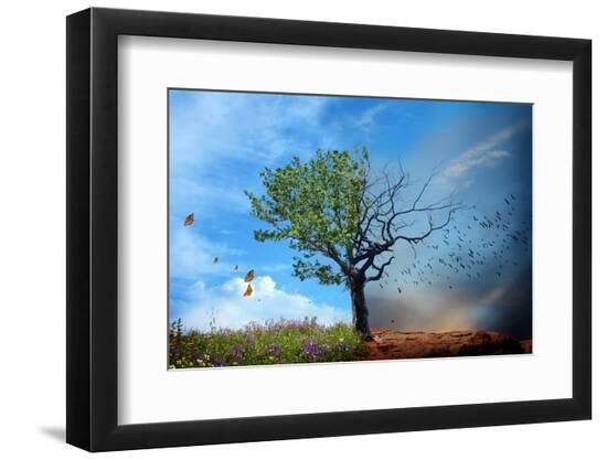 Premium Photographic Print, , large