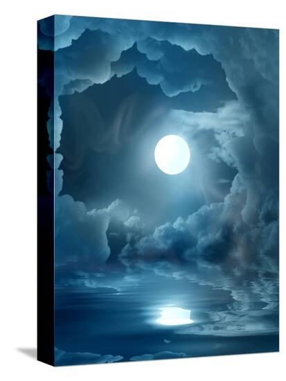 Stretched Canvas Print, , large