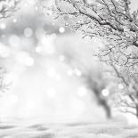 Winter Background-lilkar-Photographic Print