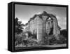 Lilleshall Abbey-Fred Musto-Framed Stretched Canvas