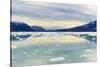 Lilliehook Glacier in Lilliehook Fjord, a Branch of Cross Fjord, Spitsbergen Island-G&M Therin-Weise-Stretched Canvas