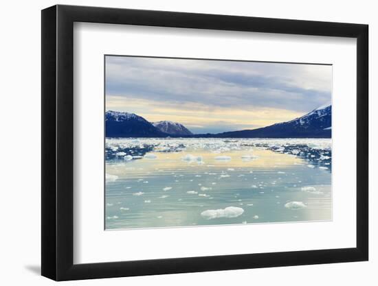 Lilliehook Glacier in Lilliehook Fjord, a Branch of Cross Fjord, Spitsbergen Island-G&M Therin-Weise-Framed Photographic Print