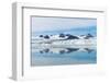 Lilliehook Glacier in Lilliehook Fjord, a Branch of Cross Fjord, Spitsbergen Island-G&M Therin-Weise-Framed Photographic Print