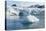 Lilliehook Glacier, Spitzbergen, Svalbard Islands, Norway, Scandinavia, Europe-Sergio Pitamitz-Stretched Canvas