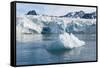 Lilliehook Glacier, Spitzbergen, Svalbard Islands, Norway, Scandinavia, Europe-Sergio Pitamitz-Framed Stretched Canvas