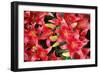 Lillies Anyone-Herb Dickinson-Framed Photographic Print