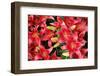 Lillies Anyone-Herb Dickinson-Framed Photographic Print