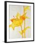 Lillies I-Rikki Drotar-Framed Giclee Print