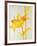 Lillies I-Rikki Drotar-Framed Giclee Print