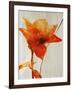 Lillies III-Rikki Drotar-Framed Giclee Print