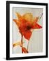 Lillies III-Rikki Drotar-Framed Giclee Print