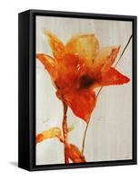 Lillies III-Rikki Drotar-Framed Stretched Canvas