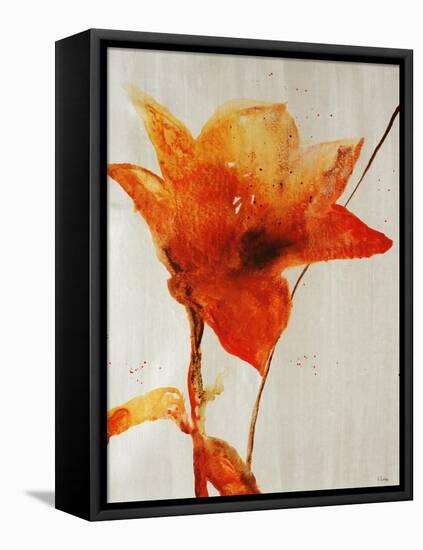 Lillies III-Rikki Drotar-Framed Stretched Canvas