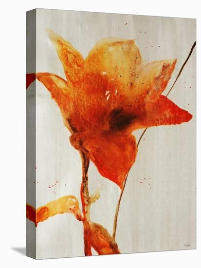 Lillies III-Rikki Drotar-Stretched Canvas