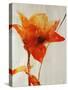 Lillies III-Rikki Drotar-Stretched Canvas