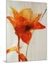 Lillies III-Rikki Drotar-Mounted Giclee Print