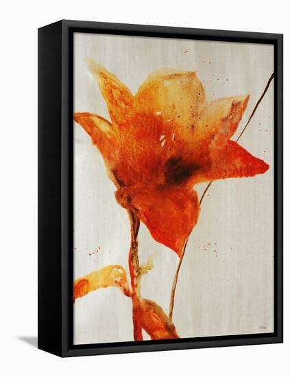 Lillies III-Rikki Drotar-Framed Stretched Canvas