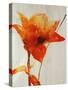 Lillies III-Rikki Drotar-Stretched Canvas