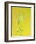 Lillies on Yellow-David Alan Redpath Michie-Framed Giclee Print