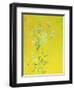 Lillies on Yellow-David Alan Redpath Michie-Framed Giclee Print