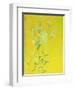Lillies on Yellow-David Alan Redpath Michie-Framed Giclee Print